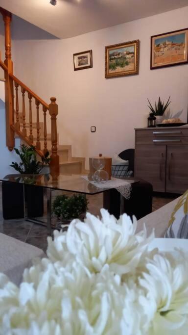 Villa Casa Joana Canyelles  Esterno foto